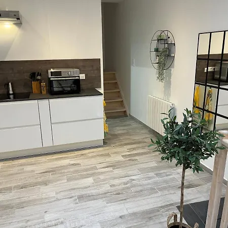 Apartament Historical Rue Longue *